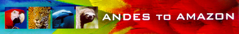 aa_banner.jpg
