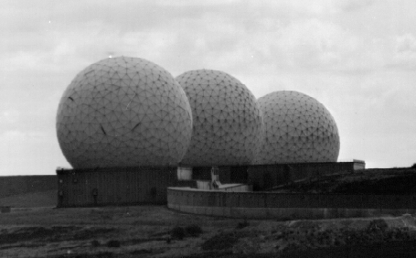 fdales1.gif