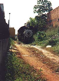 guajaramirin-train_tn.jpeg