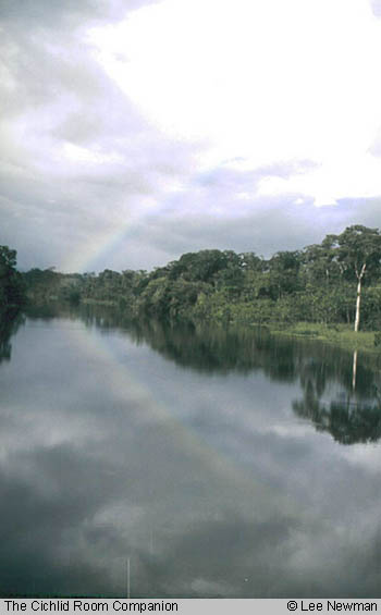 ucayali-02.jpeg